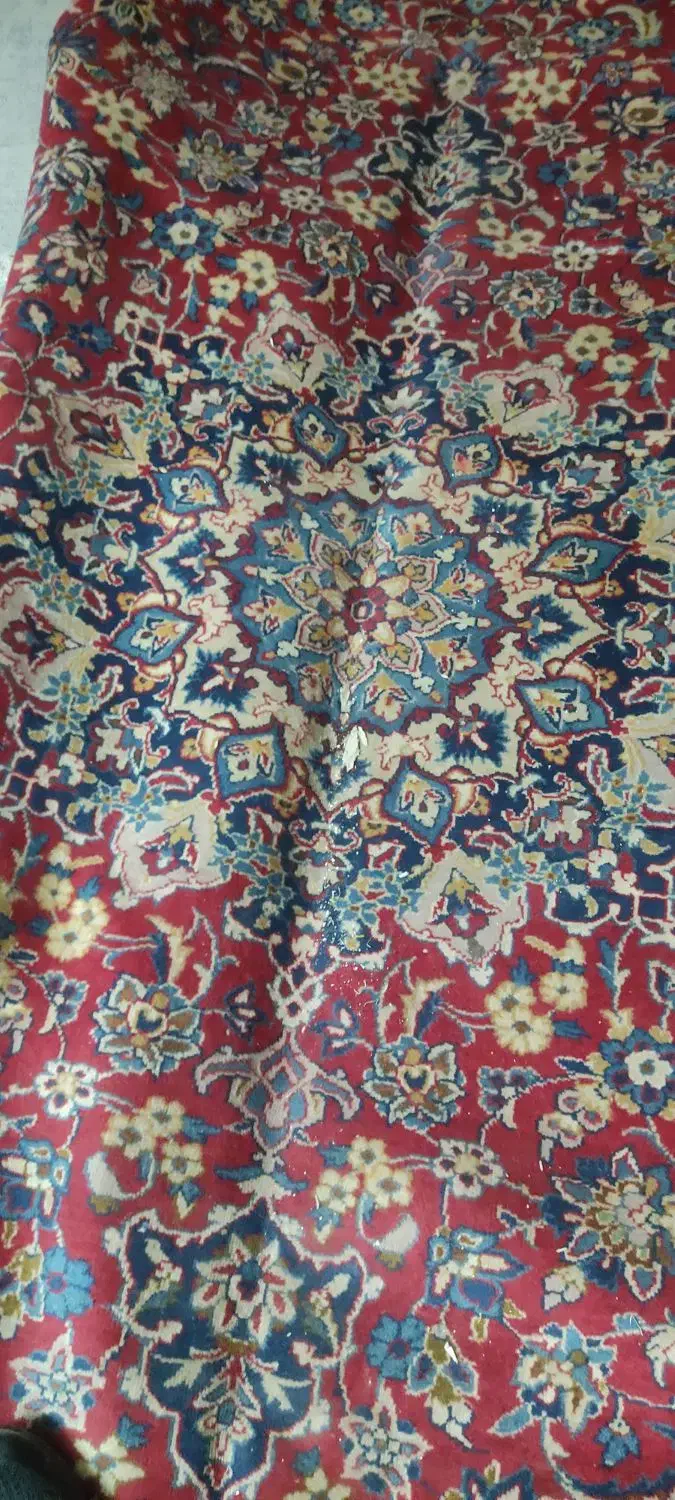 فرش دستباف نجف آبادی|فرش|اصفهان, سنبلستان|دیوار