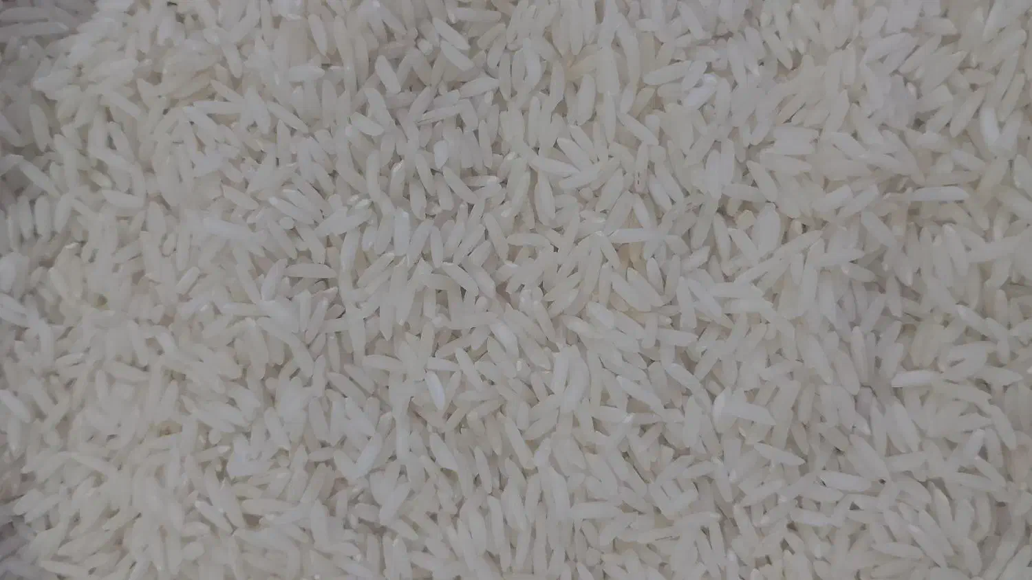 برنج هاشمی درجه یک گیلان|خوردنی و آشامیدنی|ماهدشت, |دیوار