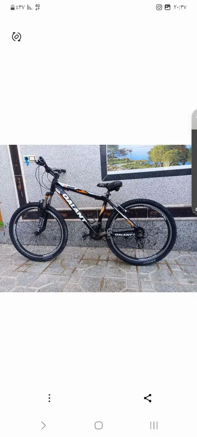 دوچرخه|دوچرخه، اسکیت، اسکوتر|سربیشه, |دیوار