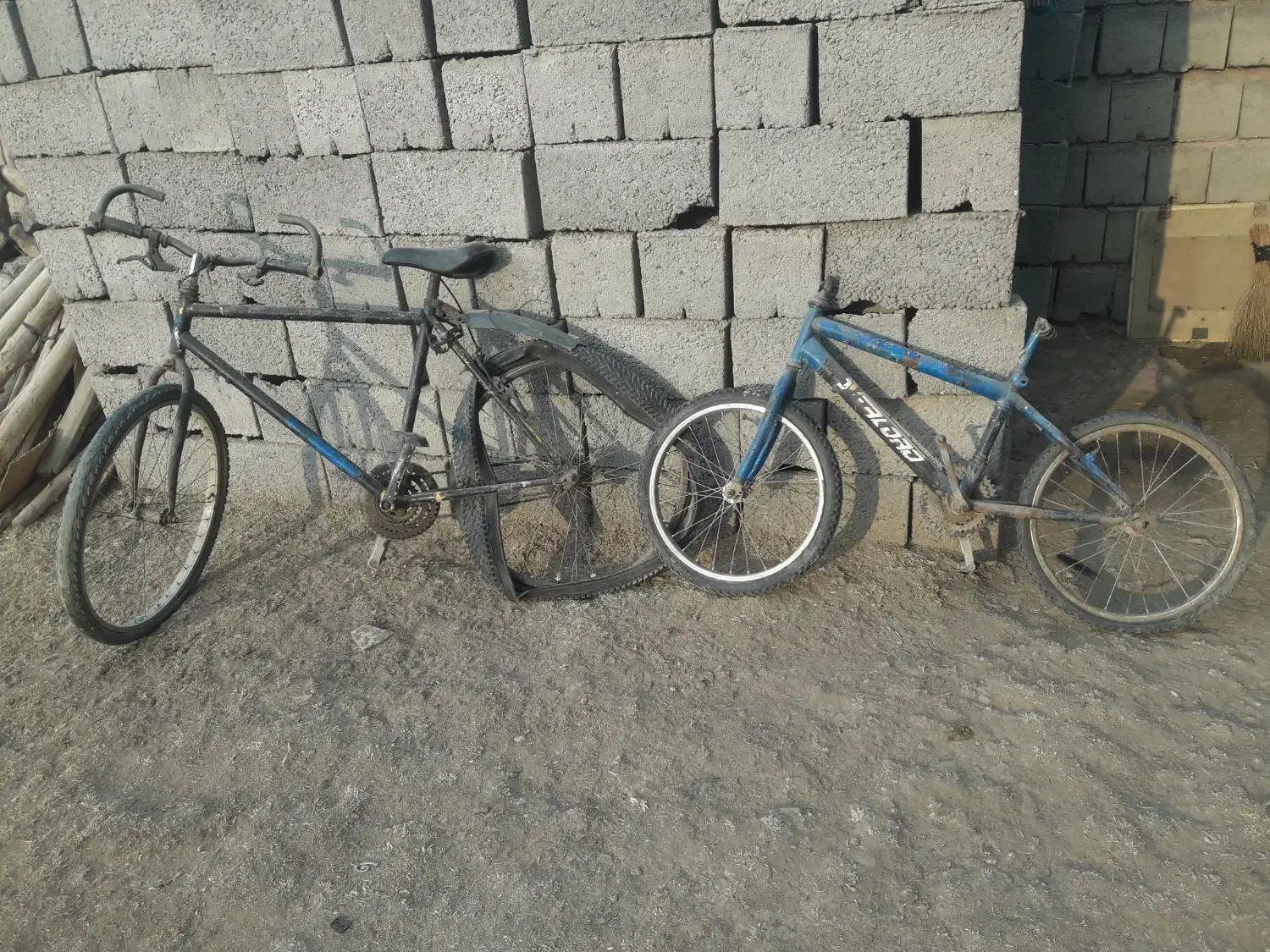 دوچرخه|دوچرخه، اسکیت، اسکوتر|پلدشت, |دیوار