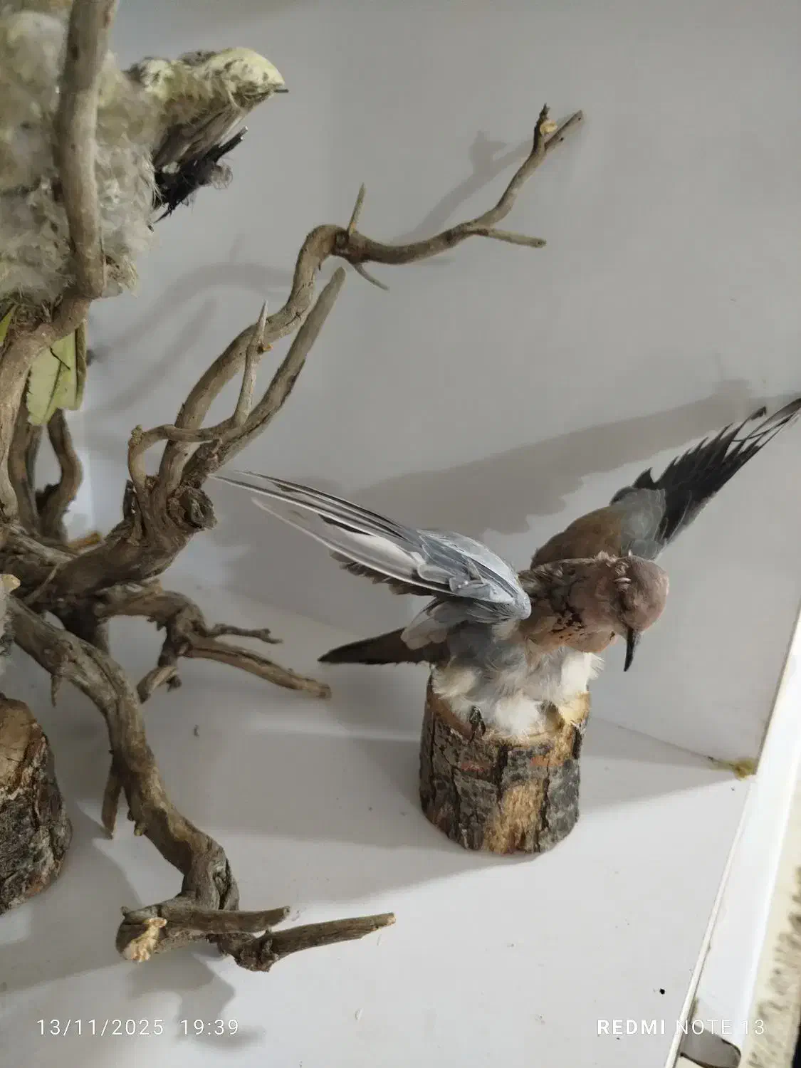 مجسمه|مجسمه، تندیس، ماکت|ایلام, |دیوار