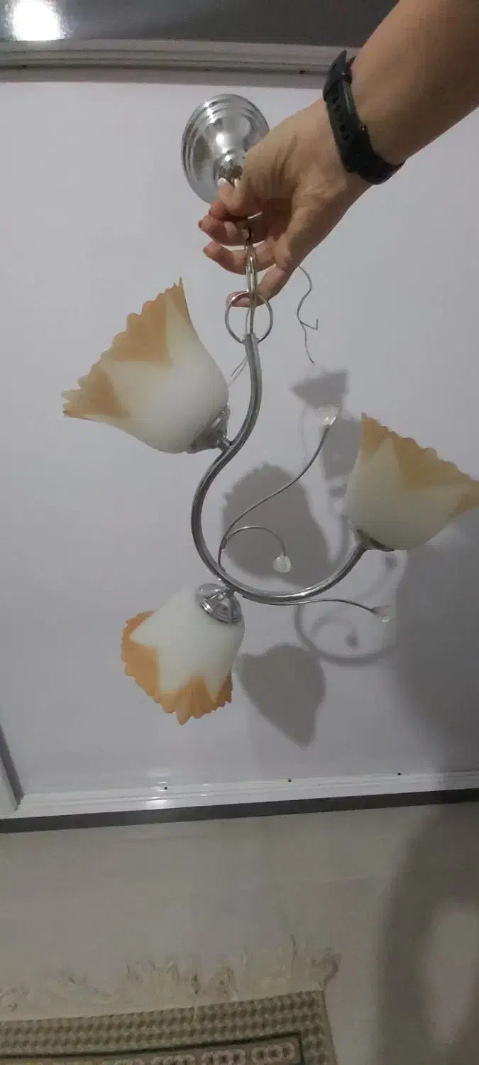 لوستر تابلو|لوستر و چراغ آویز|اصفهان, باغ دریاچه|دیوار