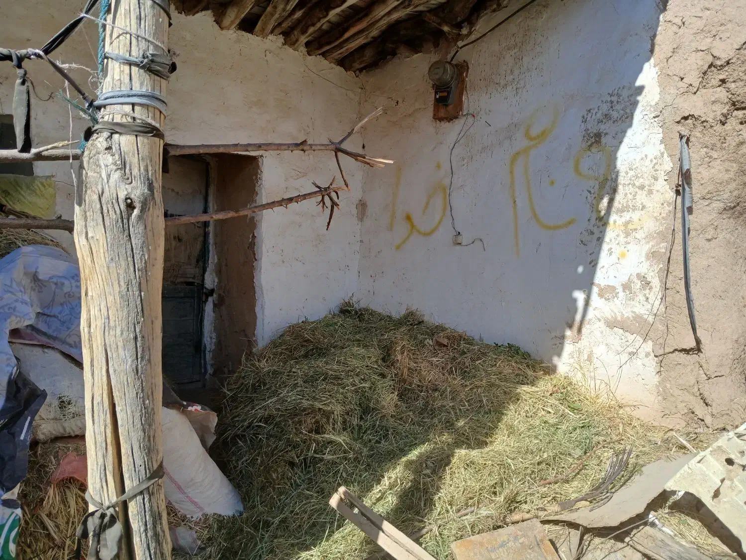 گیاه برای دامدار|حیوانات مزرعه|فیروزآباد (لرستان), |دیوار