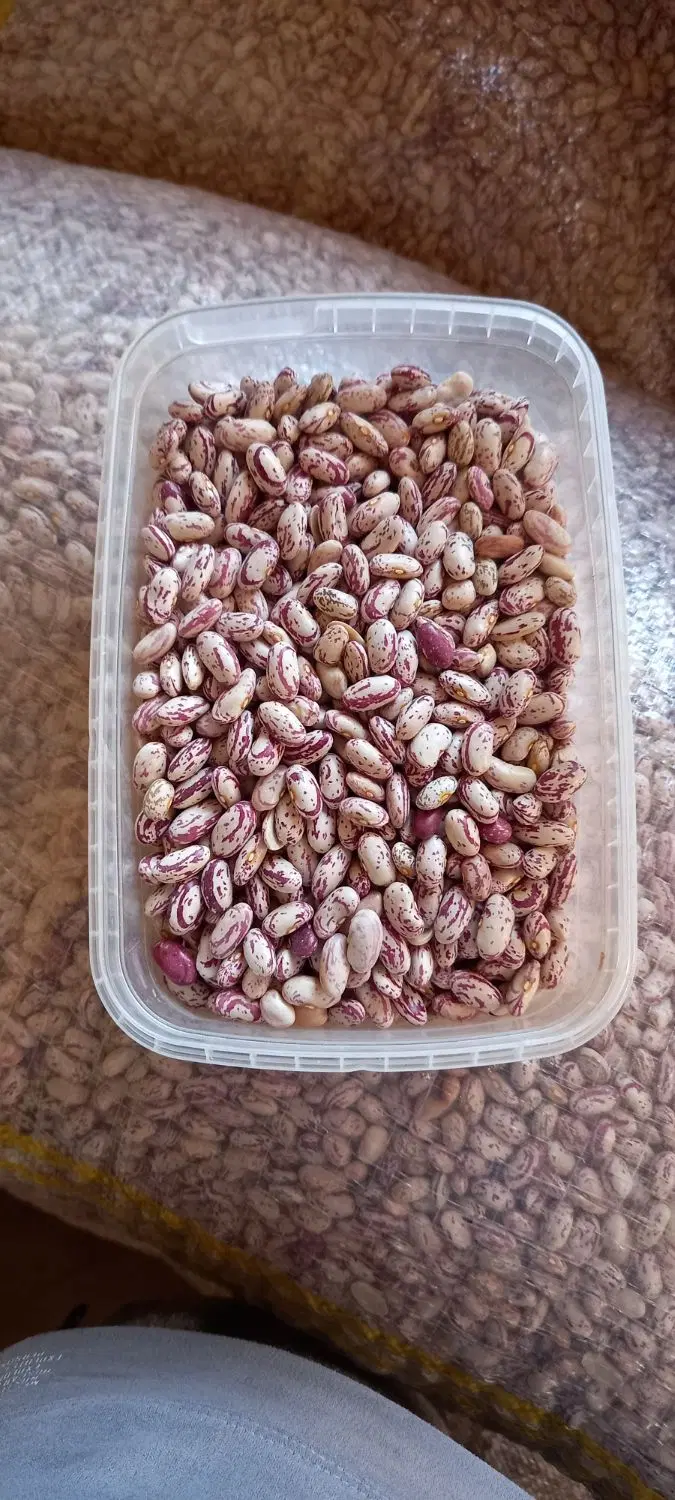 لوبیا چیتی|خوردنی و آشامیدنی|شیرین‌سو, |دیوار