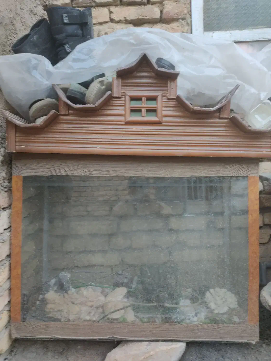 اکواریوم|ماهی|فریدونشهر, |دیوار