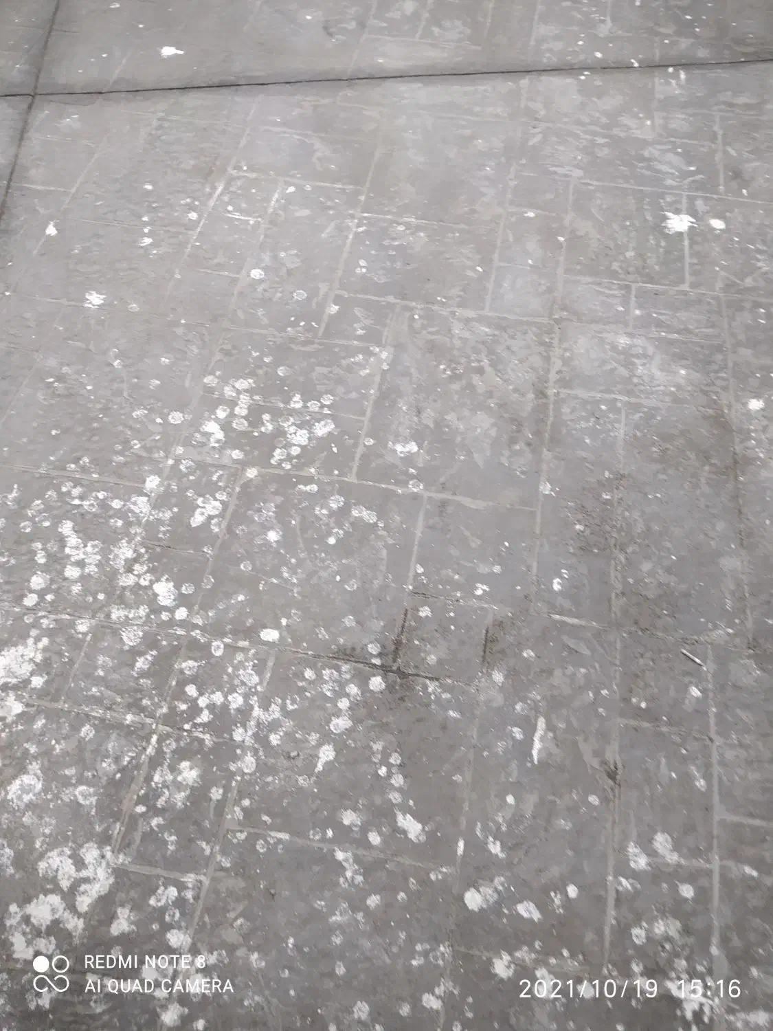 کفسابی|خدمات نظافت|قزوین, |دیوار