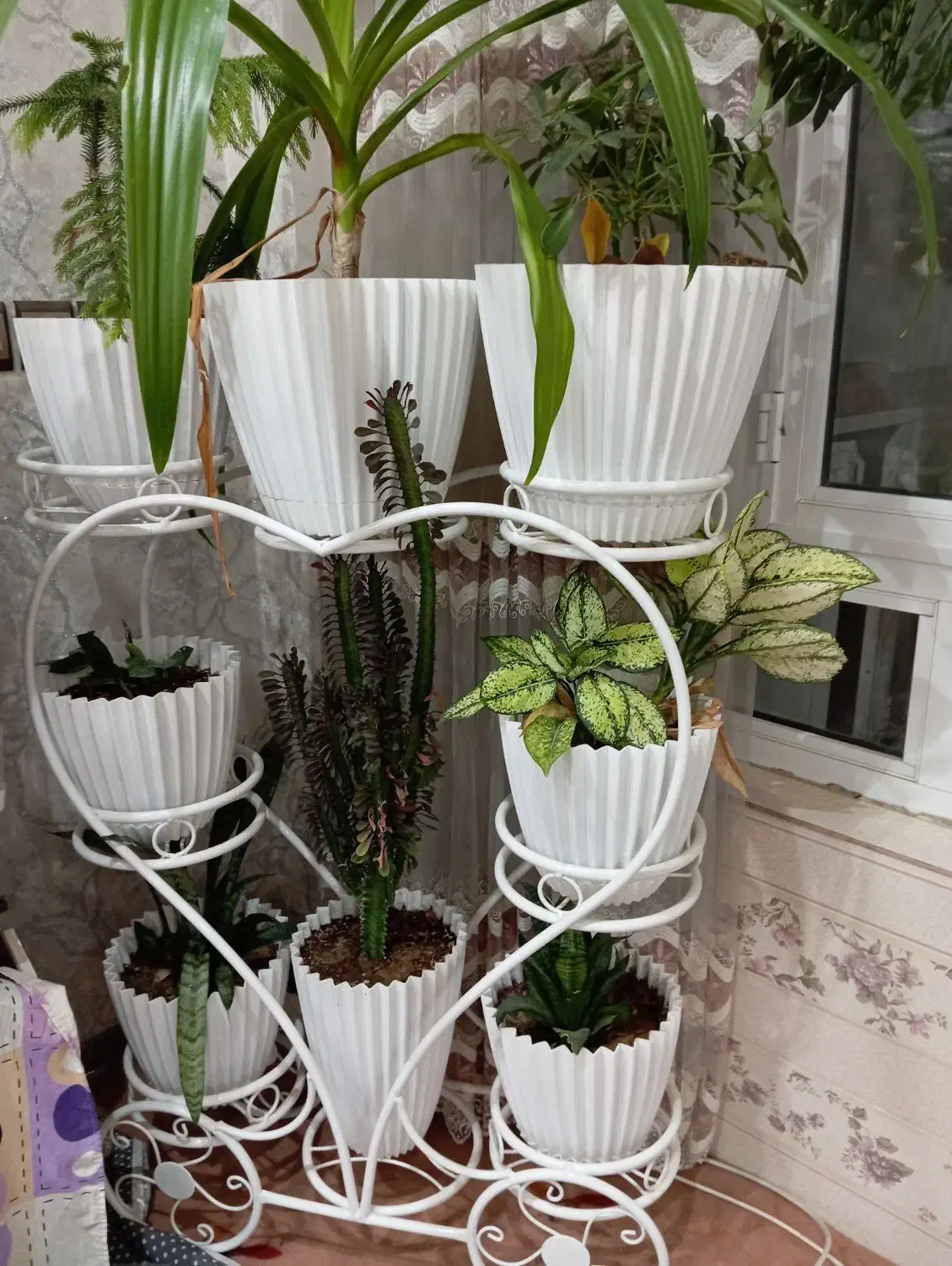 استند گل فلزی محکم|گل و گیاه طبیعی|عسگران, |دیوار