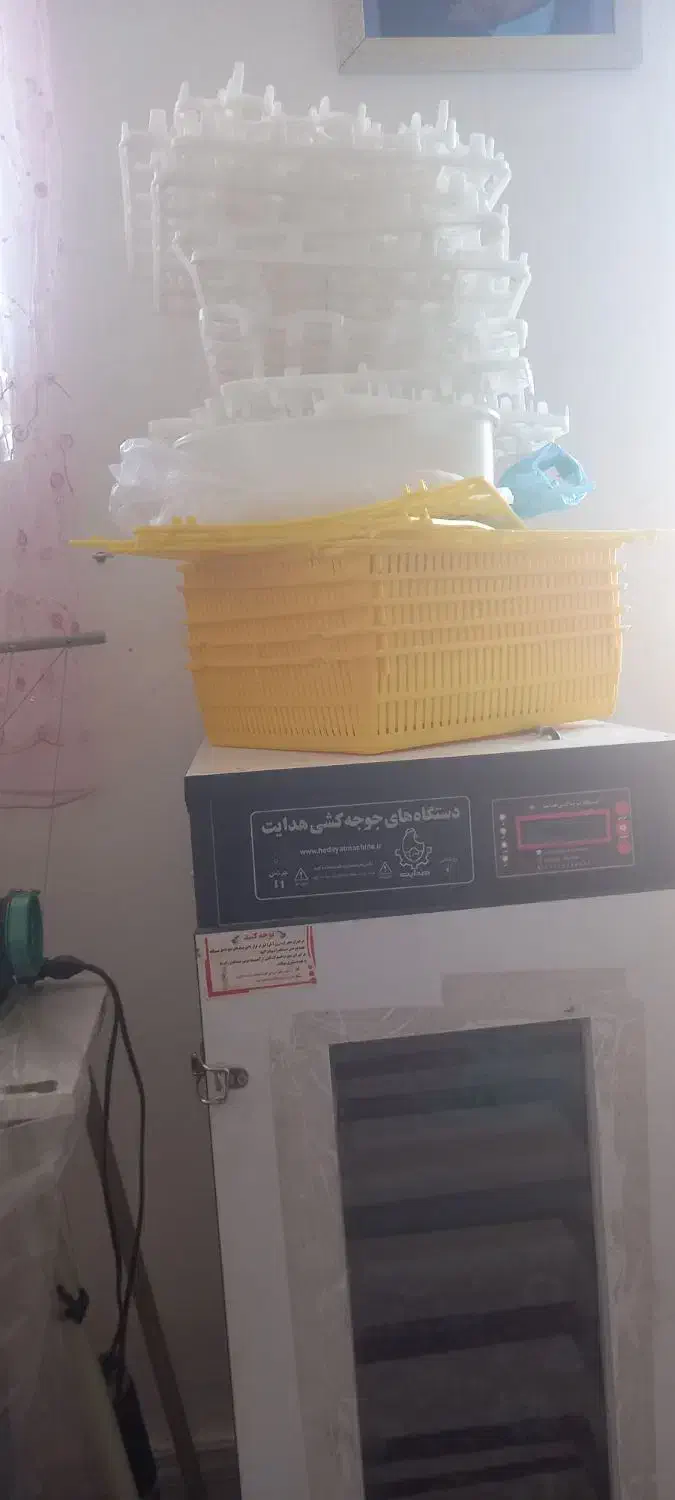 دستگاه جوجه کشی|لوازم جانبی حیوانات|کوهدشت, |دیوار