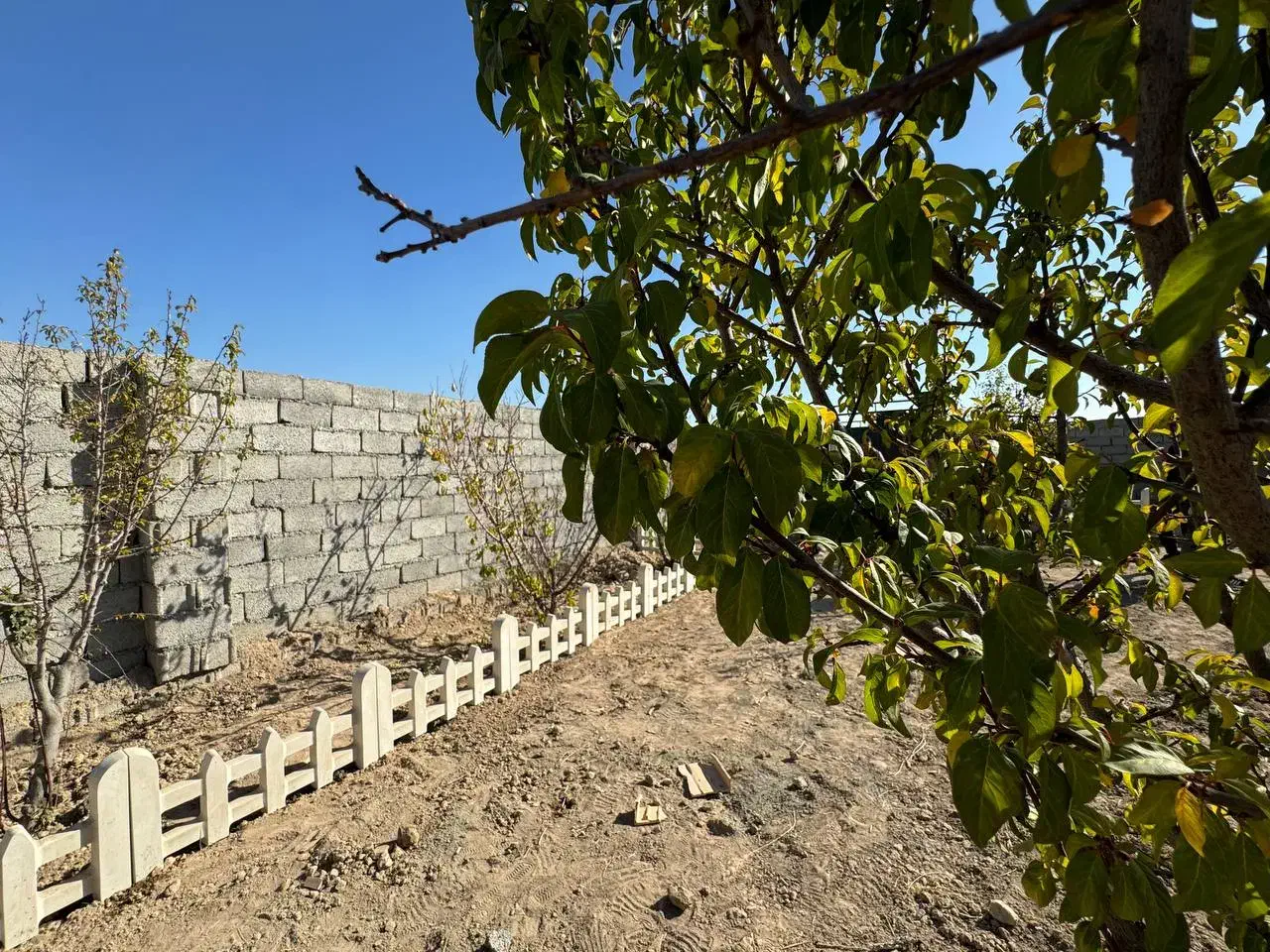 باغ باغچه زمین چهار دیواری آسفالت سند تک برگ|فروش زمین و ملک کلنگی|وحیدیه, |دیوار