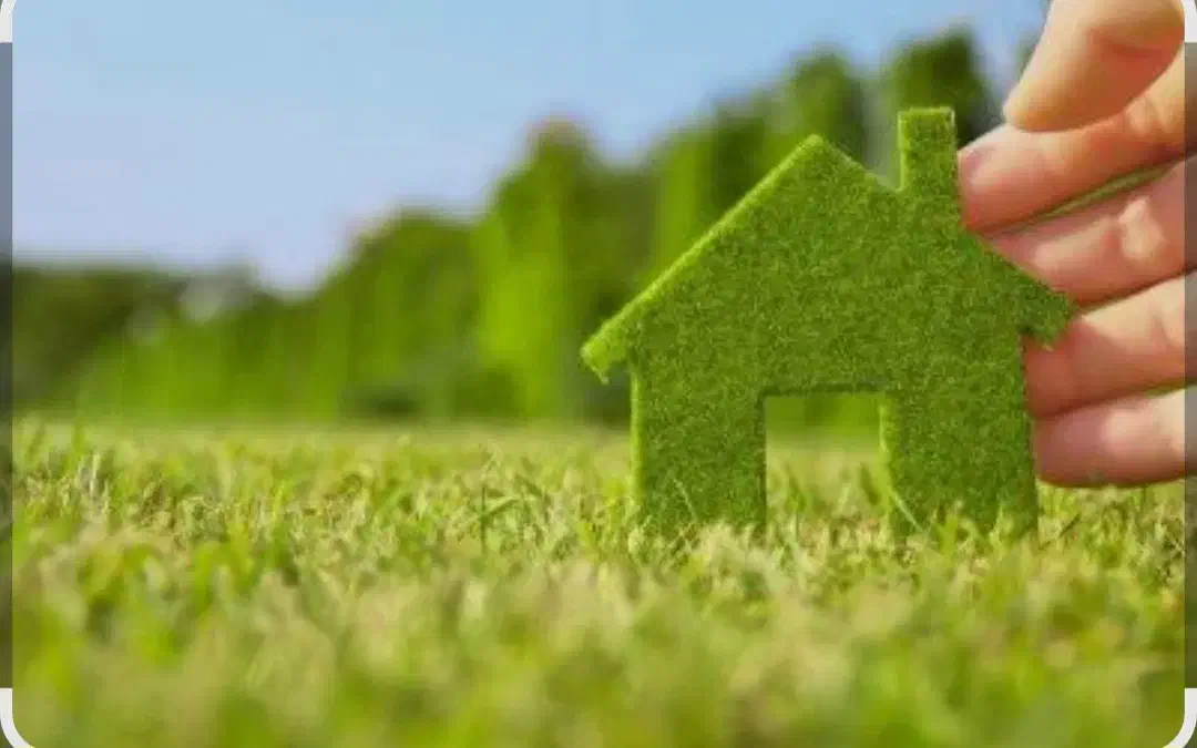 فروش زمین مسکونی|فروش زمین و ملک کلنگی|لامرد, |دیوار