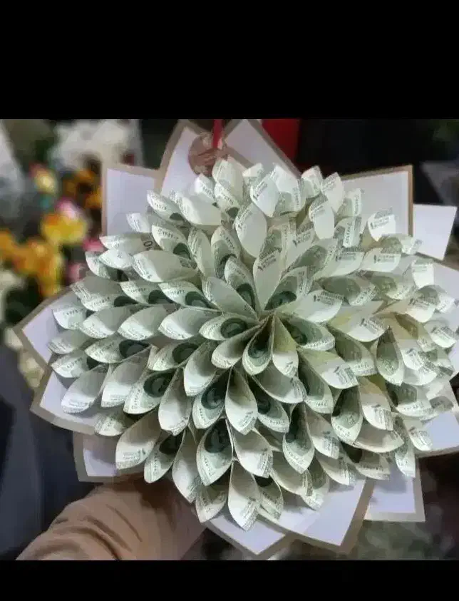 پول آرایی|گل و گیاه طبیعی|مشهد, مهدی آباد|دیوار