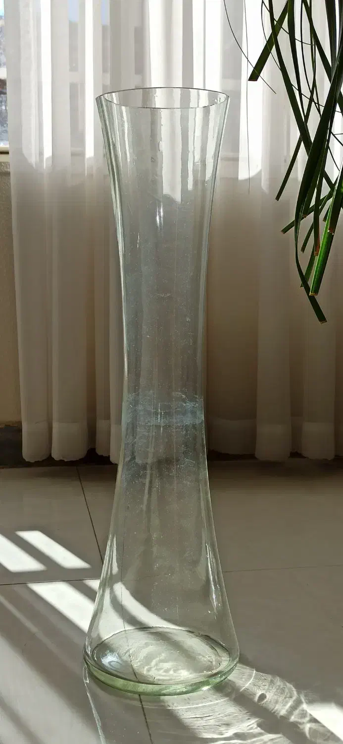 گلدان شیشه ای بلند|گل و گیاه طبیعی|شاهین‌شهر, فردوسی|دیوار