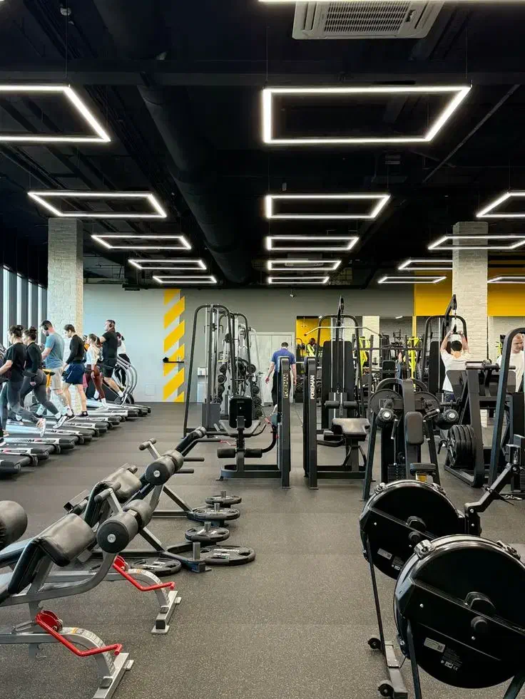 350متر فلت/با زیر ساخت کامل برای باشگاه/قدوسی غربی|اجارهٔ مغازه و غرفه|شیراز, قدوسی غربی|دیوار