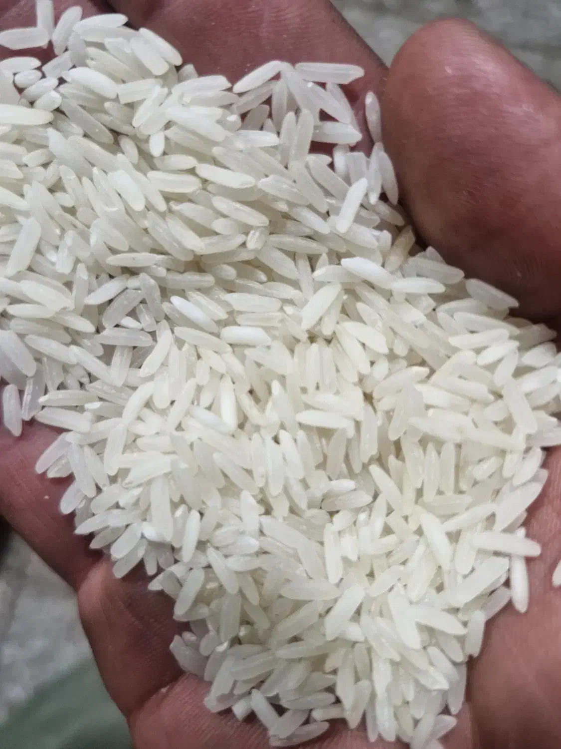 برنج تایلندی درجه 1|عمدهفروشی|نورآباد ممسنی, |دیوار