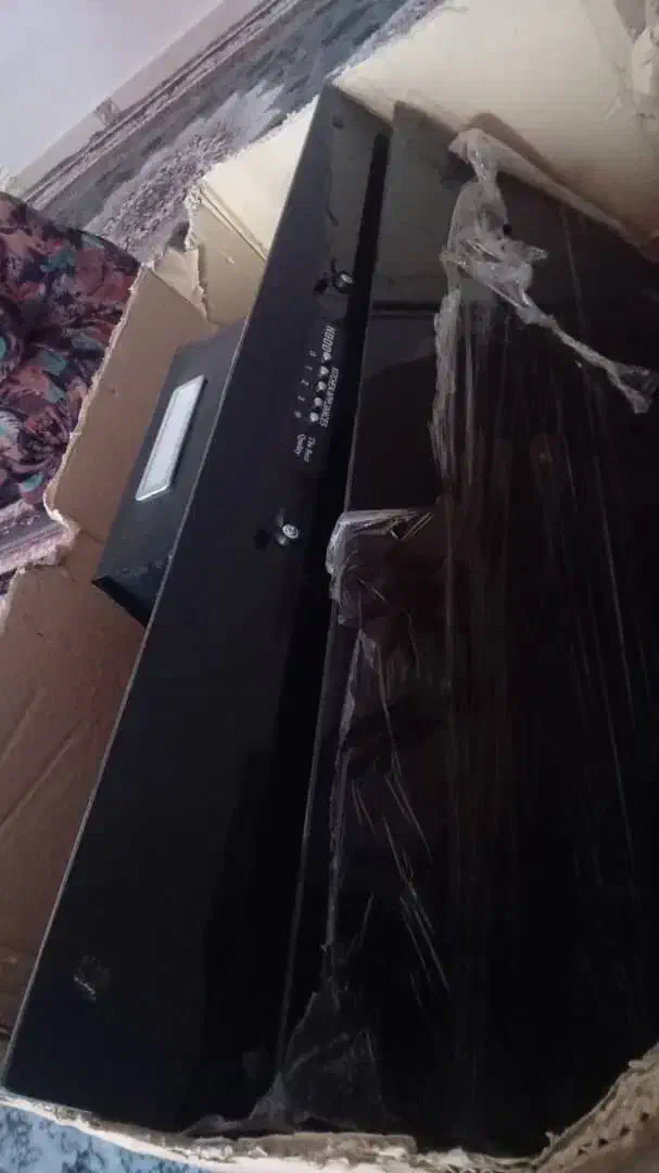 هود|هود|شوش, |دیوار