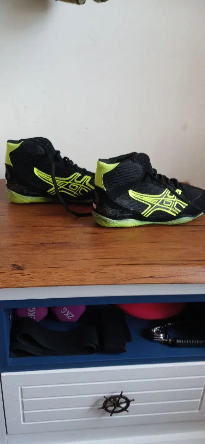 کفش کشتی|کیف، کفش، کمربند|رباط‌کریم, مسکن مهر آبشناسان|دیوار