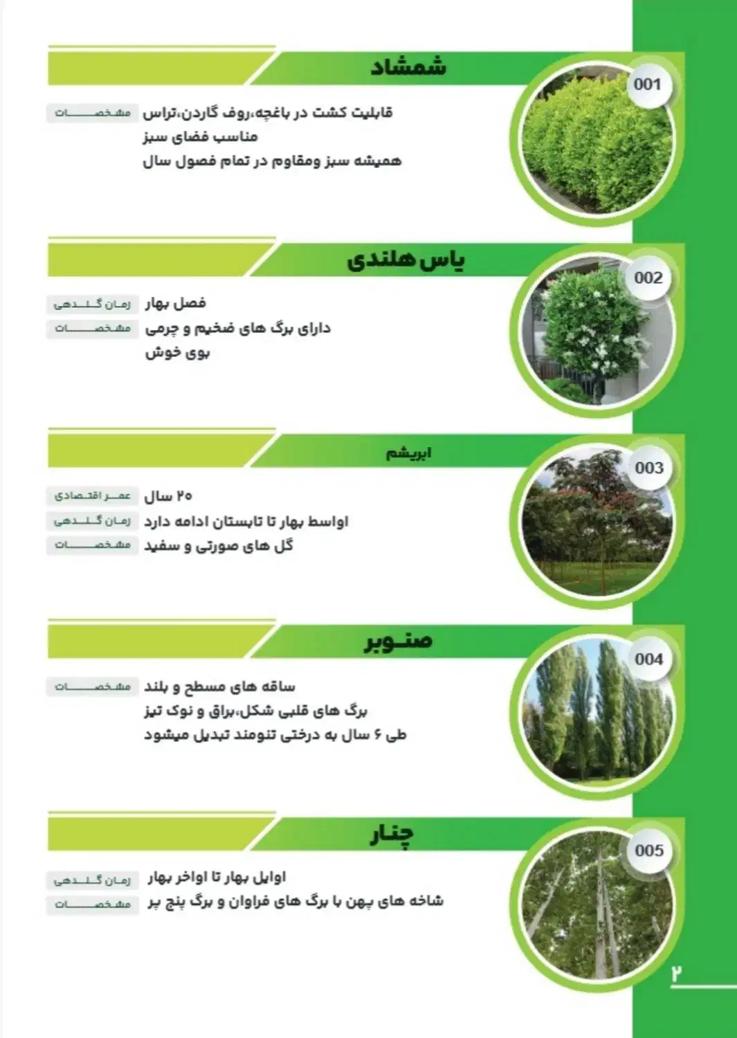 نهالستان جهان سبز|گل و گیاه طبیعی|خرم‌آباد, |دیوار