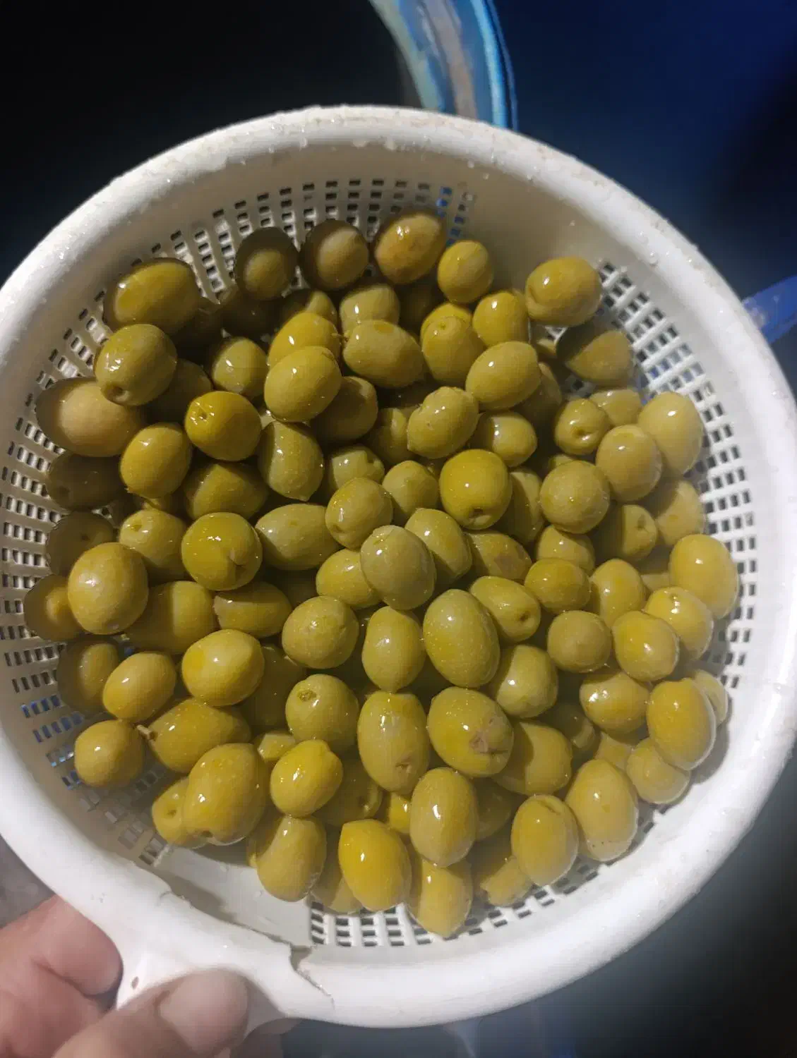 زیتون کنسروی امساله طارم(اعلاء)|خوردنی و آشامیدنی|طارم, |دیوار