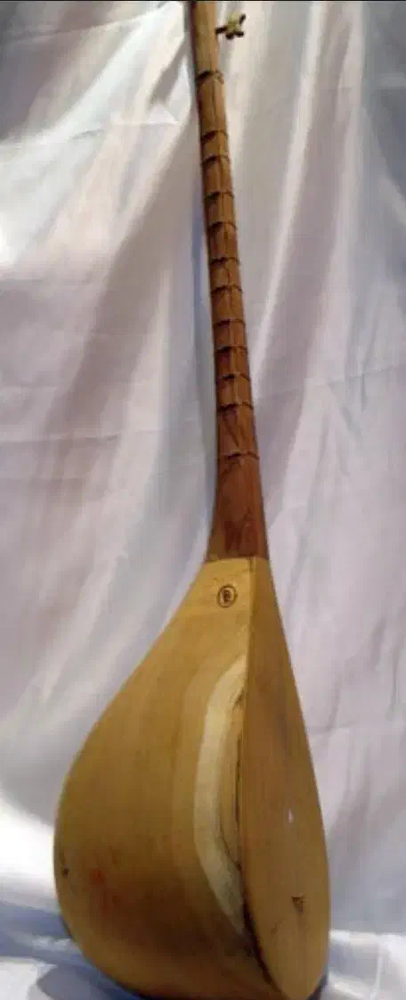 دوتار خوش صدا|سازهای سنتی|قائن, |دیوار