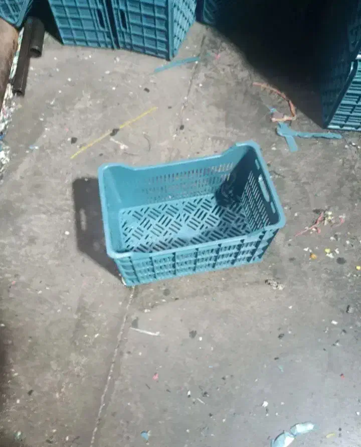 سبدمیوه|ظروف نگهدارنده، پلاستیکی، یک‌بارمصرف|ساری, |دیوار