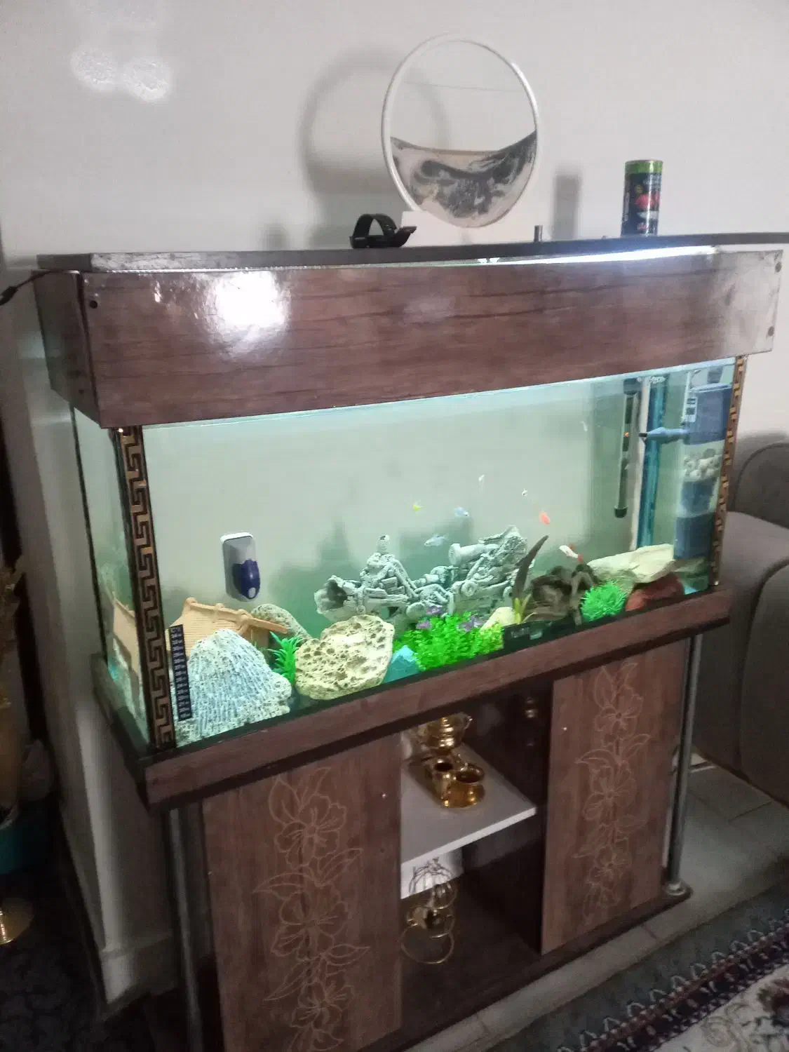 آکواریم بدون وسایل|ماهی|پاکدشت, پاکدشت (مامازند)|دیوار