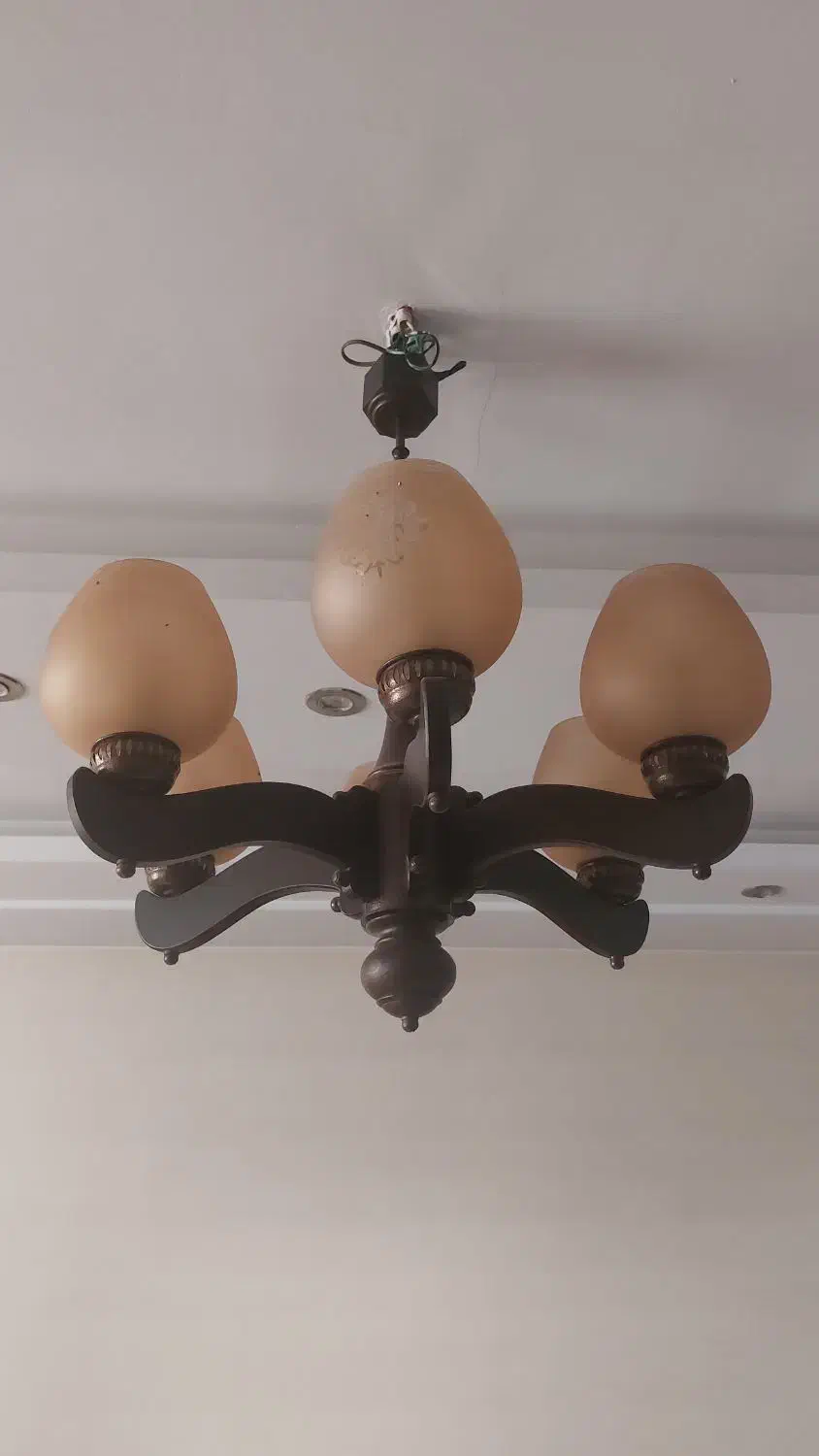 ۵ عدد لوستر ۶ شاخه چوبی|لوستر و چراغ آویز|کرج, ساماندهی|دیوار