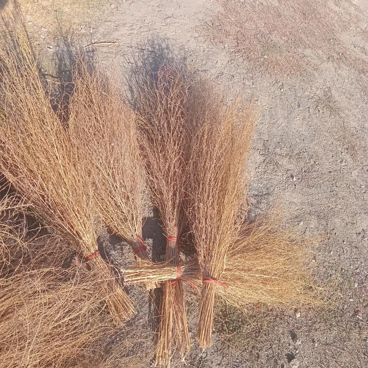 جارو کردی|جاروبرقی، جارو شارژی، بخارشو|کامیاران, |دیوار