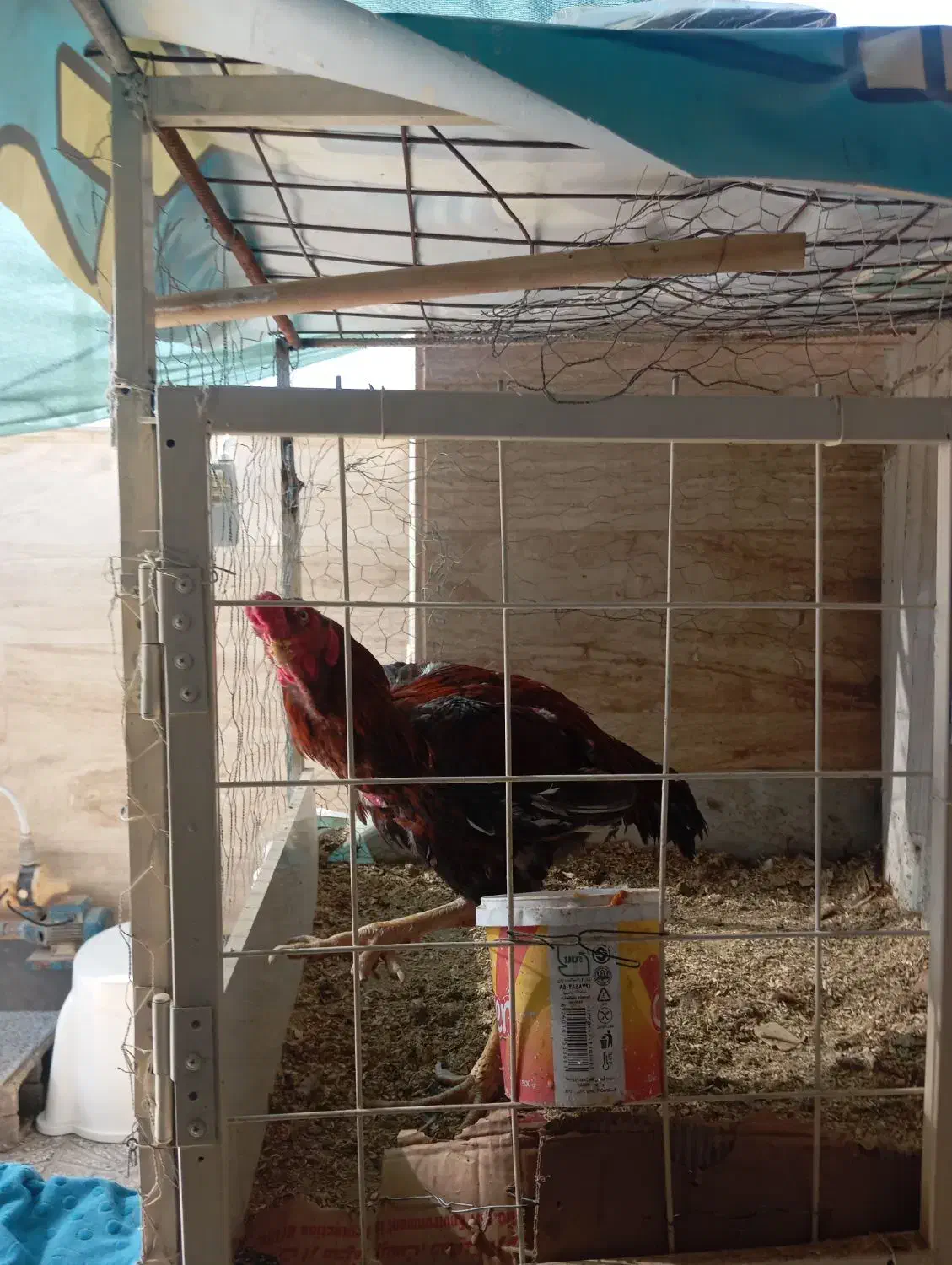 قفس دو طبقه بزرگ|لوازم جانبی حیوانات|شیراز, کرونی(خاتونک)|دیوار