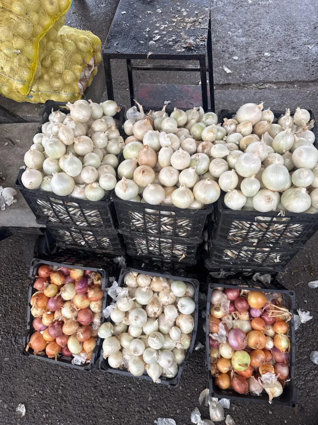 پیاز|خوردنی و آشامیدنی|گرگان, |دیوار