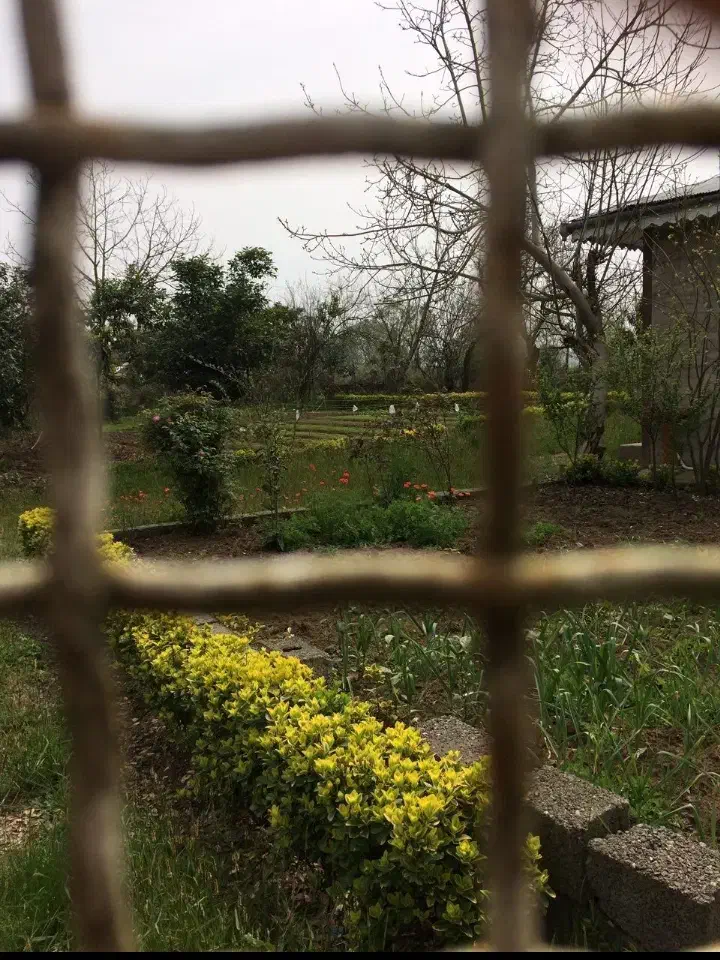 فروش ۸۰۰ متر زمین با مجوز ساخت و سوییت ۴۰ متری|فروش زمین و ملک کلنگی|سیاهکل, |دیوار