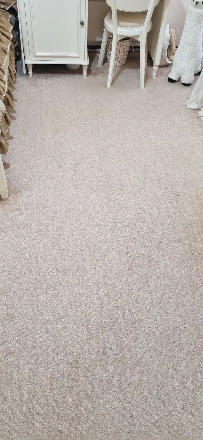 پالاز موکت|موکت|بروجرد, |دیوار