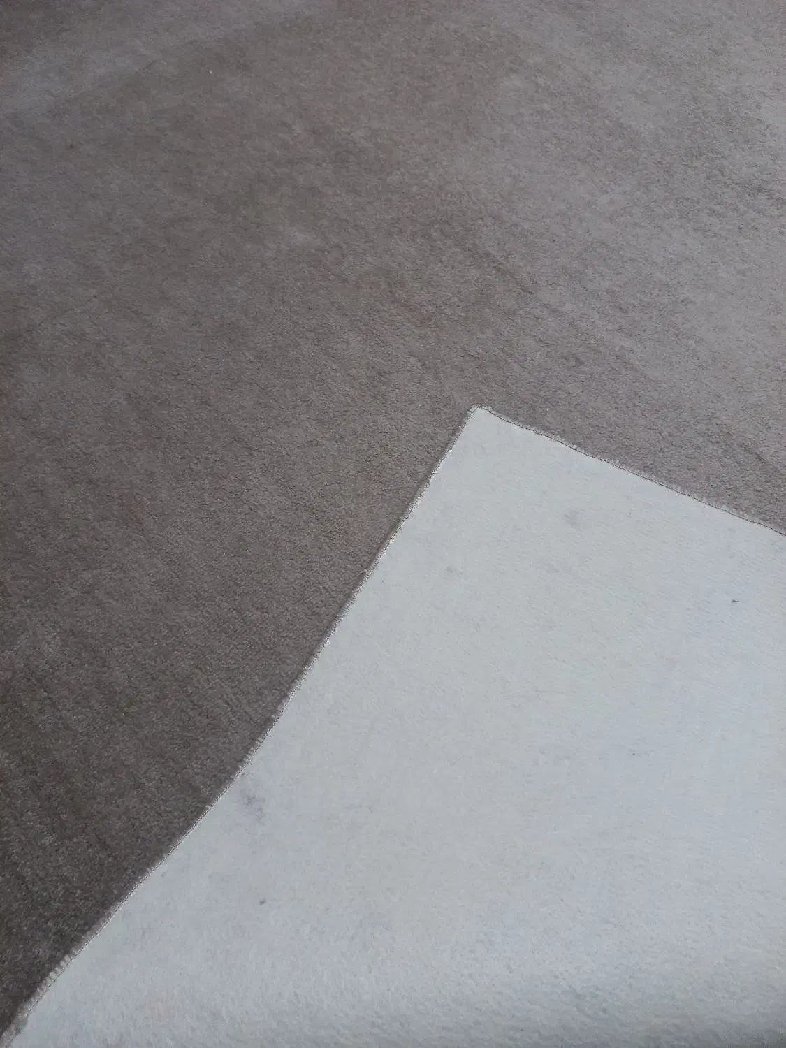 موکت پالاز|موکت|مشهد, طبرسی شمالی|دیوار