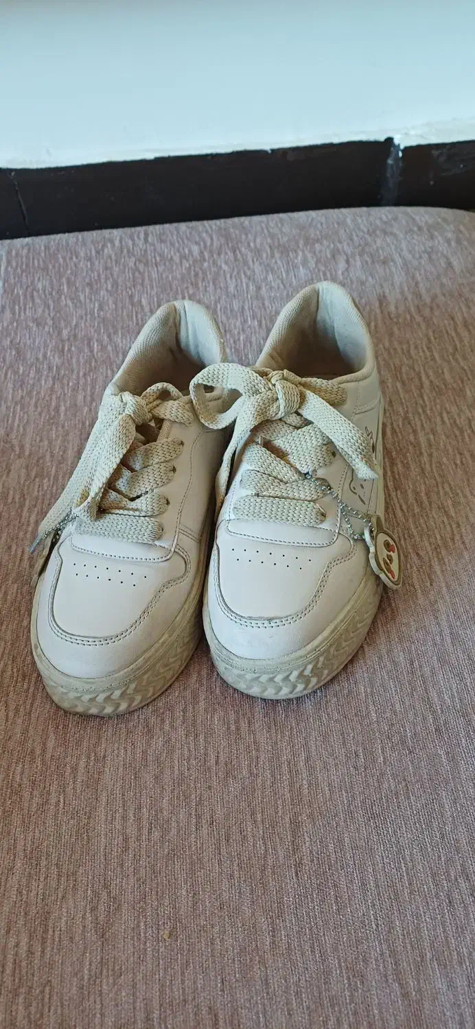 کفش نو|کیف، کفش، کمربند|فولادشهر, مسکن مهر فولادشهر|دیوار