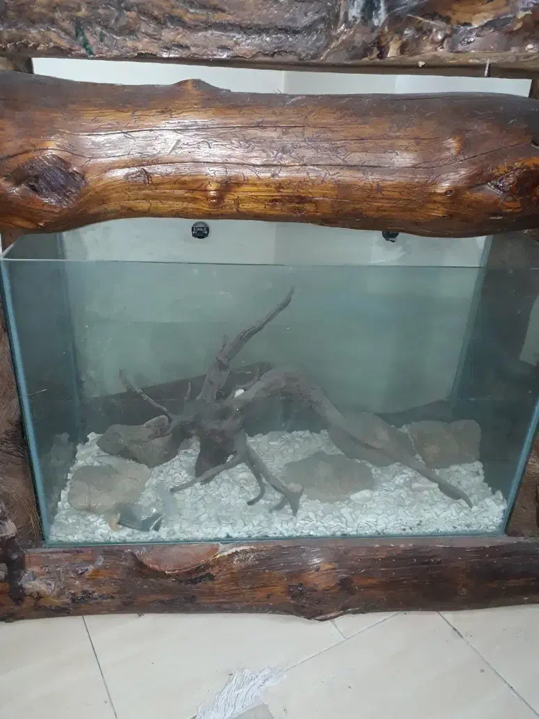 میز طبقه پایین اکواریوریم طبقه بالا چیمدان لیوان|بوفه، ویترین، کنسول|کرج, گلشهر|دیوار