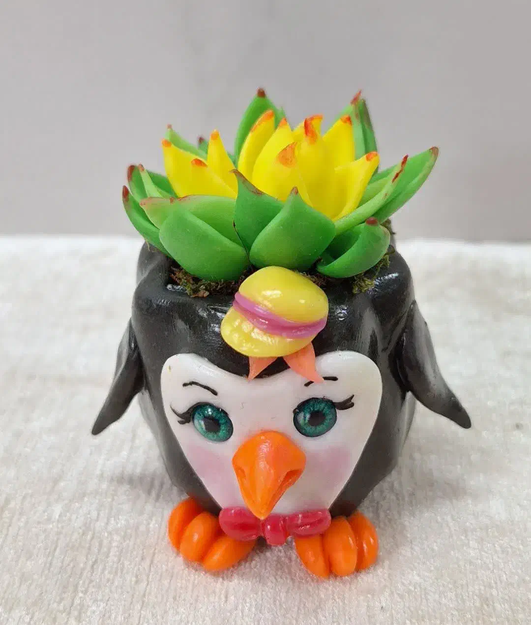 کاکتوس|کلکسیون و سرگرمی|قم, هنرستان|دیوار