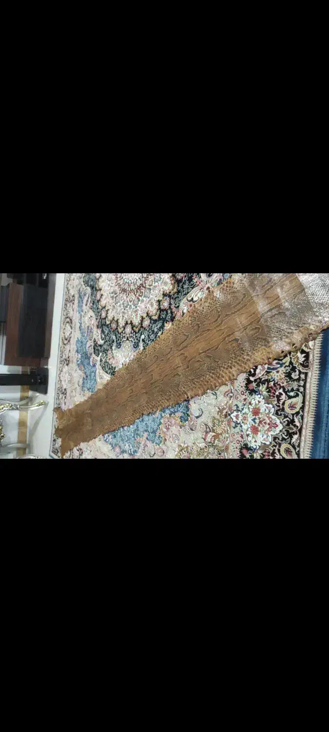 پوست مار آناکوندا|کلکسیون اشیاء عتیقه|ساری, |دیوار