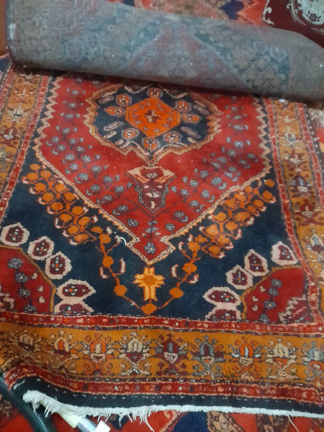 فرش دستبافت قدیمی|فرش|ورامین, ورامین|دیوار