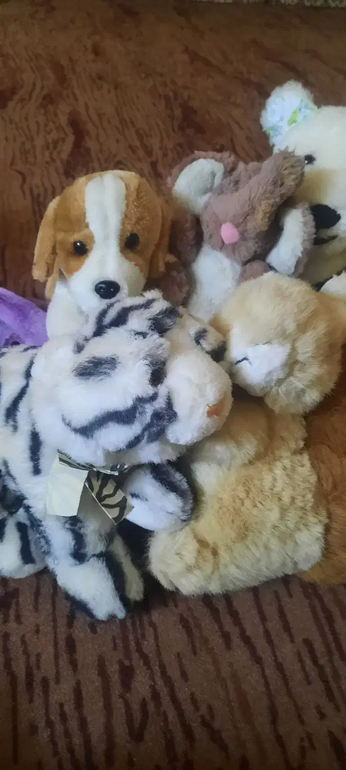 سلام|اسباب‌‌بازی|زابل, |دیوار