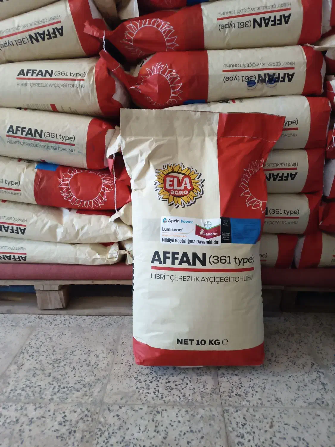 بذر آفتابگردان|خدمات باغبانی و درختکاری|نقده, |دیوار