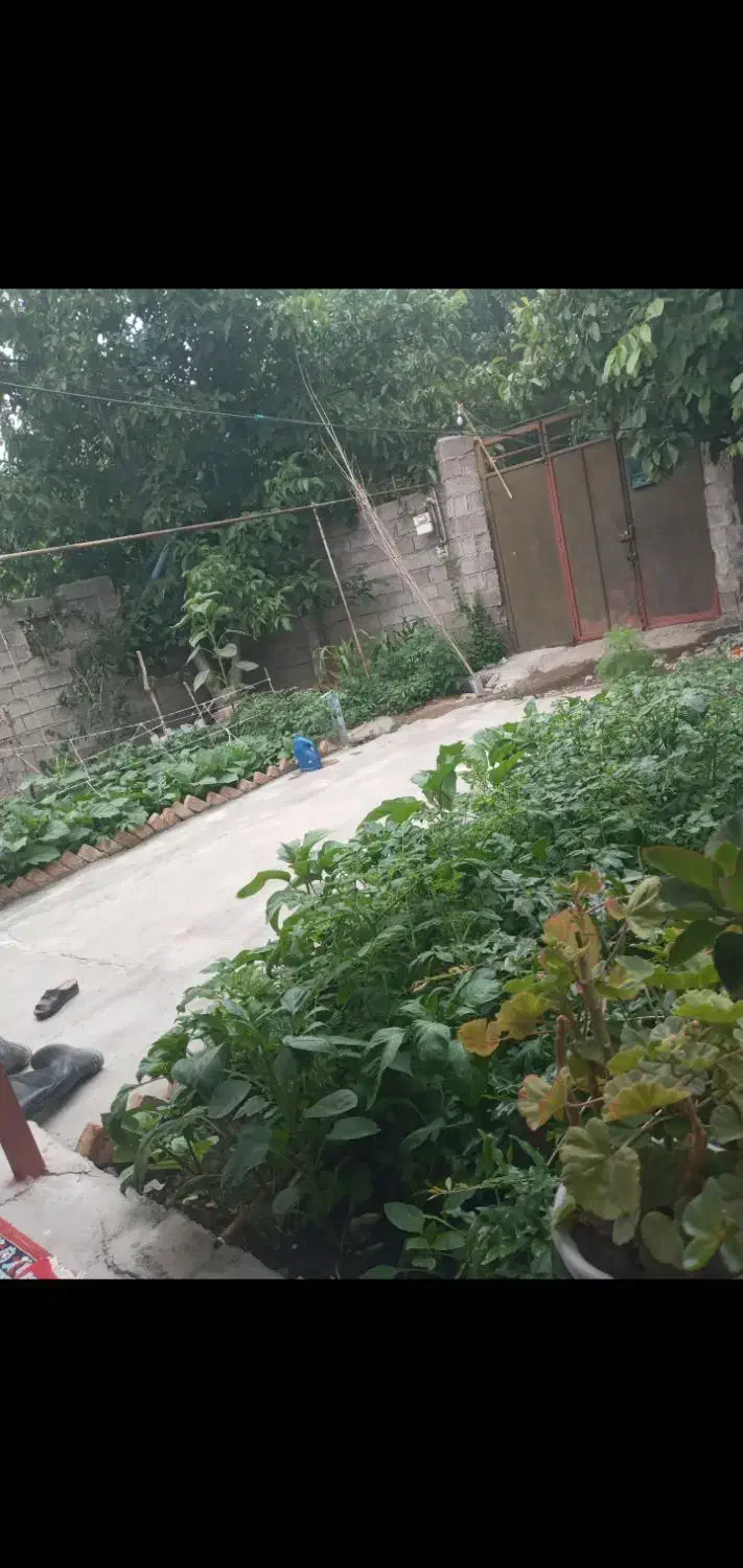 فروش یا معاوضه خونه ویلایی|فروش خانه و ویلا|قصابه, |دیوار