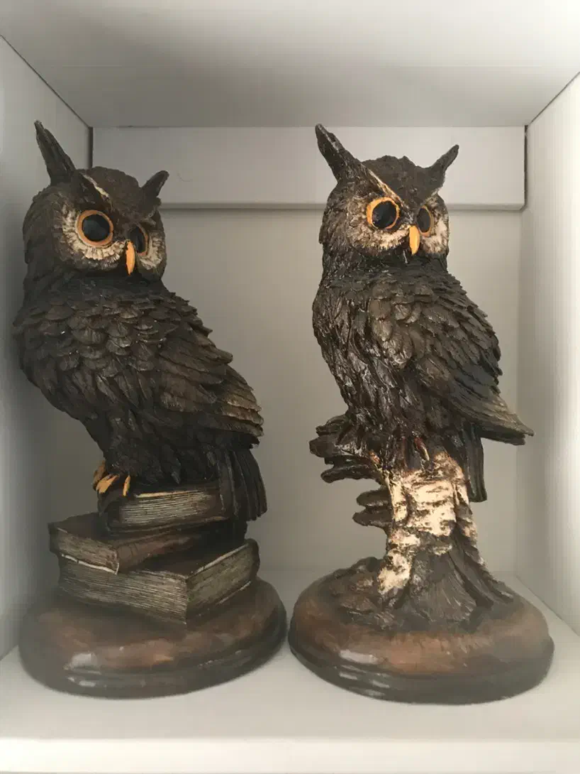 مجسمه جغد دانا|مجسمه، تندیس، ماکت|ساری, |دیوار