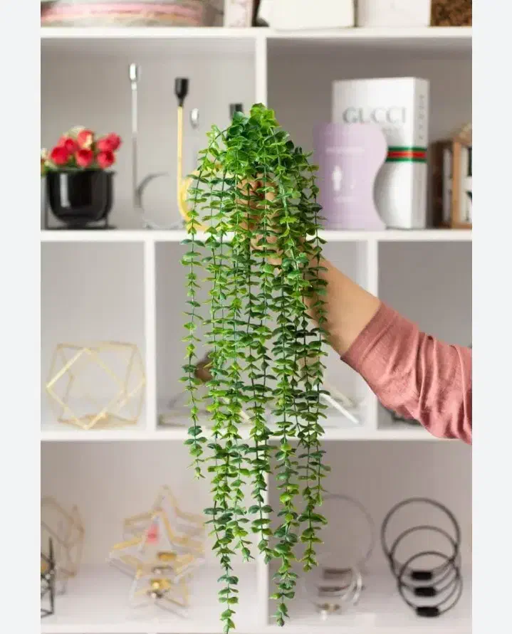 شمشاد مصنوعی|گل مصنوعی|قم, زاویه|دیوار