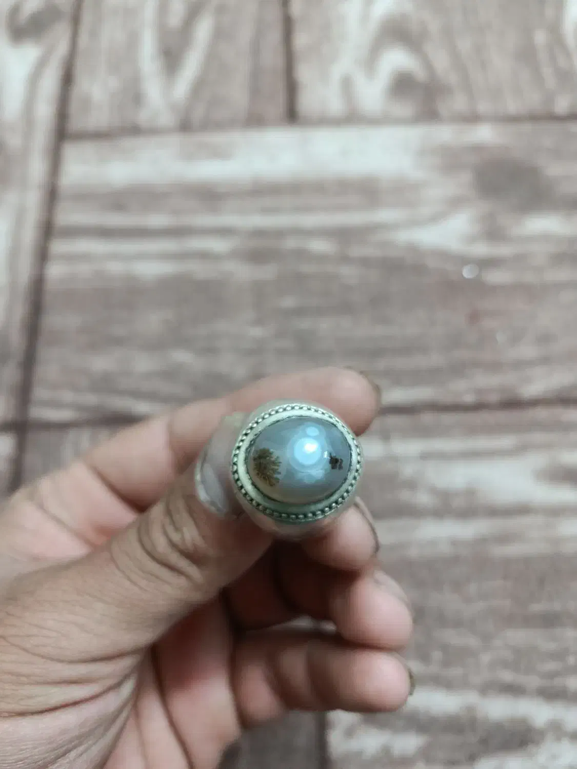 انگشتر شجر باباغوری معاوضه با پرنده|جواهرات|زارچ, |دیوار