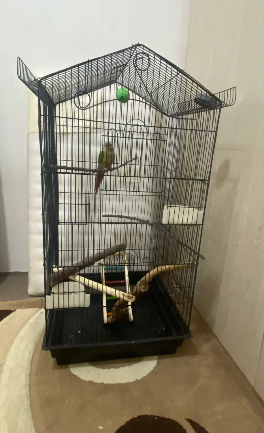 یک عدد قفس طوطی سان|لوازم جانبی حیوانات|هشتگرد, فاز ۷ مهستان|دیوار