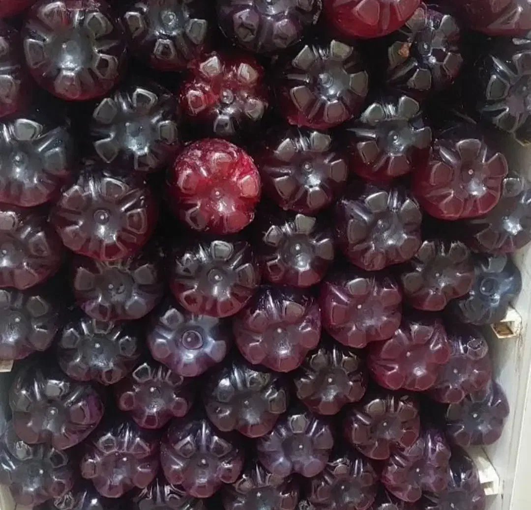 گالن ۲۰و۱۰ لیتری آلبالو زرشک دستگاه شربت آب انار|خوردنی و آشامیدنی|تهران, بازار|دیوار