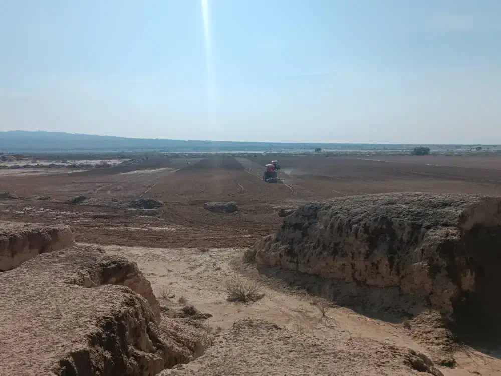 کاه سنادرجه یک|حیوانات مزرعه|کاکی, |دیوار