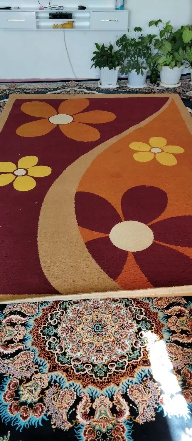 گلیم اشپزخانه|فرش|مهاباد (آذربایجان غربی), |دیوار