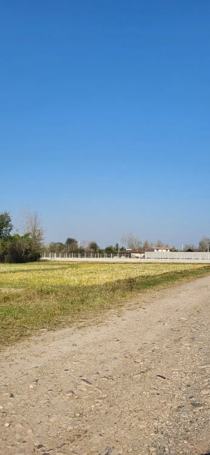 زمین کشاورزی|فروش زمین و ملک کلنگی|سنگر, |دیوار