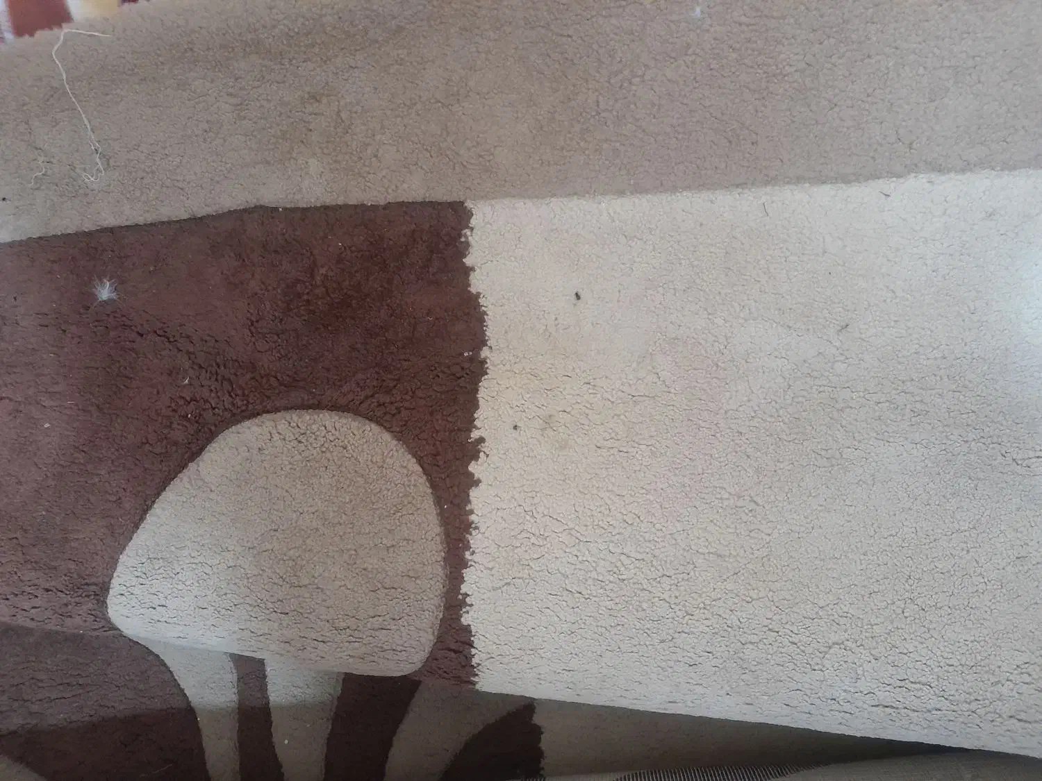 گلیم فرش ۱۲ متری سالم|گلیم، جاجیم، گبه|فاضل آباد, |دیوار