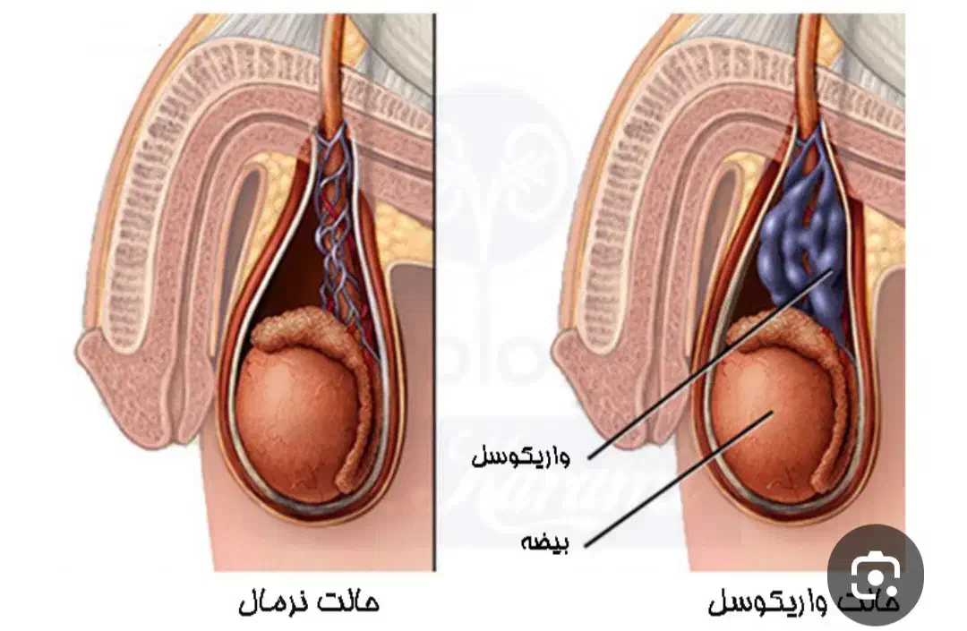 راهنمایی میخوام|فعالیت داوطلبانه|رفسنجان, |دیوار